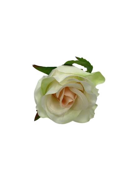 Róża główka 5 cm kremowa z jasnym różem