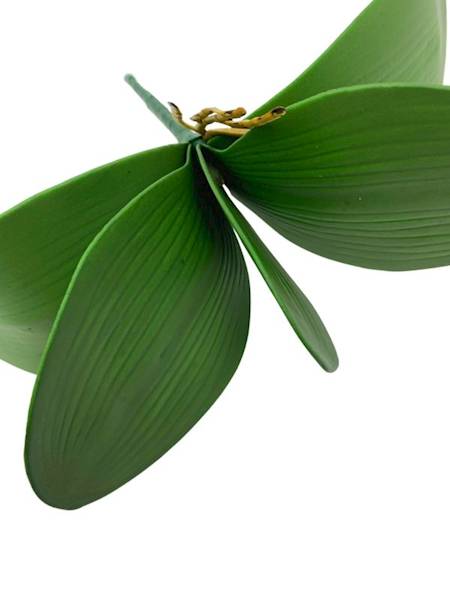 Liść do storczyka 26 cm zielony