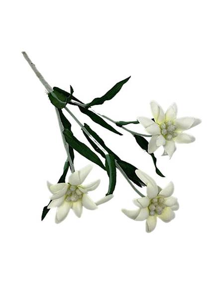 Szarotka górska gałązka 27 cm kremowa