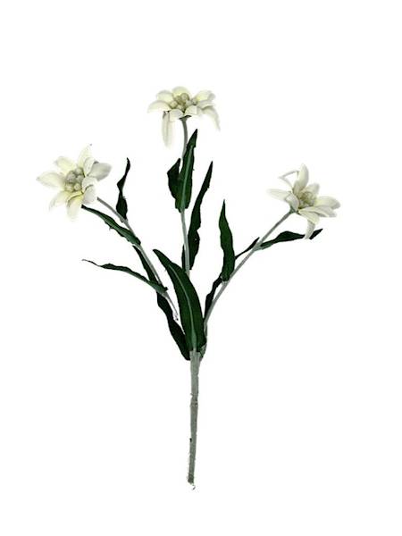 Szarotka górska gałązka 27 cm kremowa