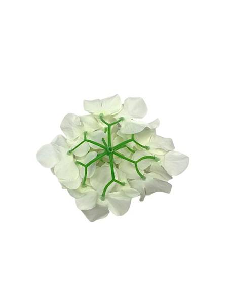 Hortensja główka 13 cm biała