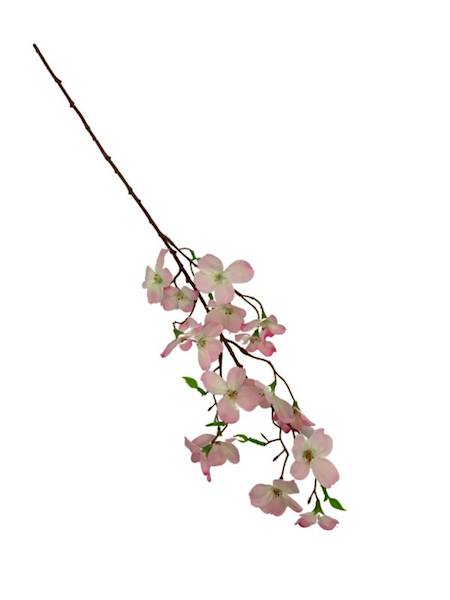 Jabłoń gałązka 60 cm różowa