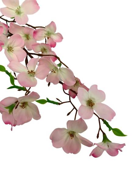 Jabłoń gałązka 60 cm różowa