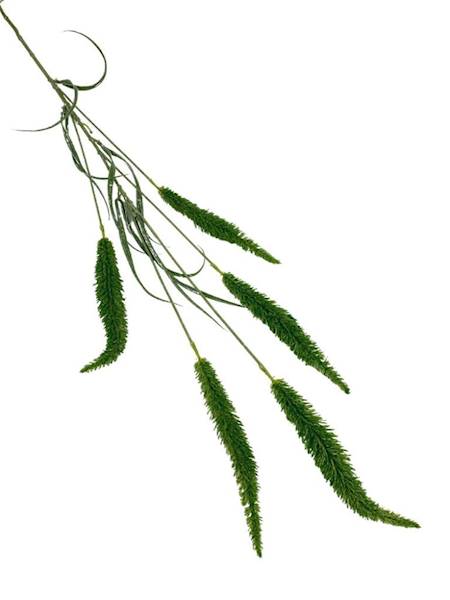 Trawa ozdobna 132 cm zielona