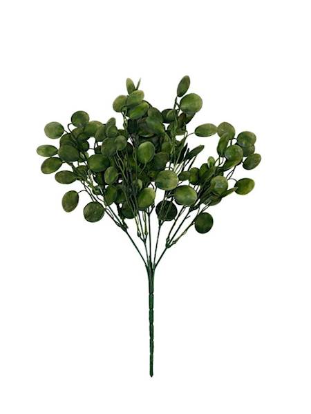 Pilea bukiet 34 cm zielony