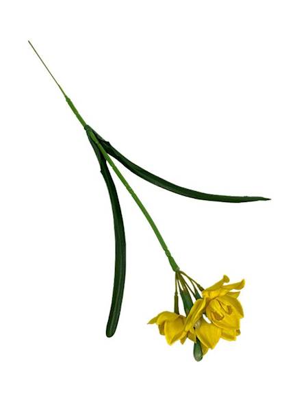 Narcyz żonkil 45 cm żółty