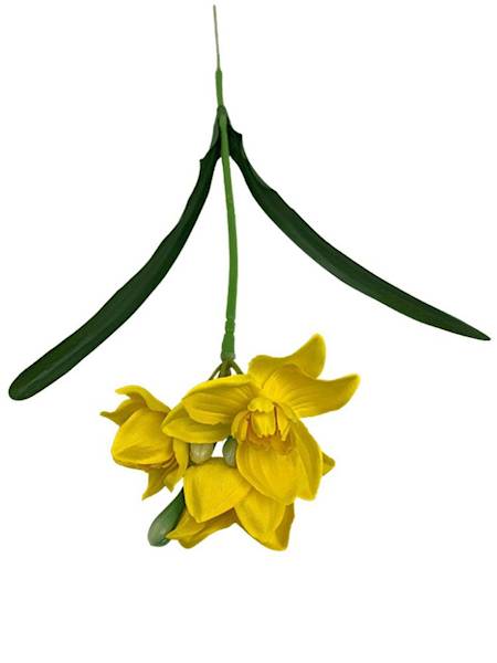 Narcyz żonkil 45 cm żółty