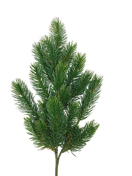 Jodła gałązka 48 cm 