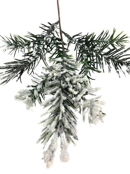 Jodła gałązka ośnieżona 34 cm