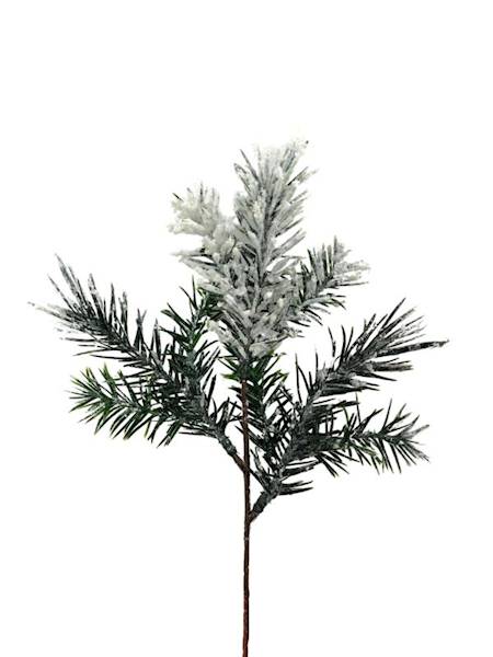 Jodła gałązka ośnieżona 34 cm