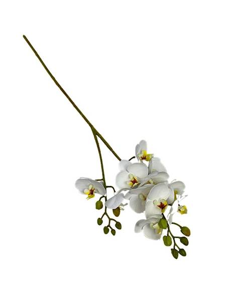 Storczyk gałązka 60 cm biały
