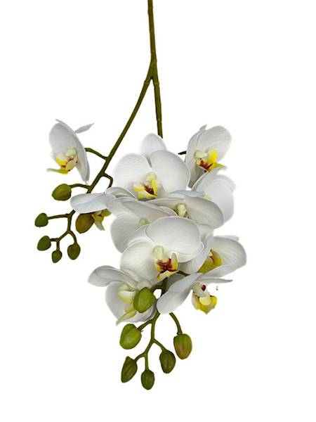 Storczyk gałązka 60 cm biały