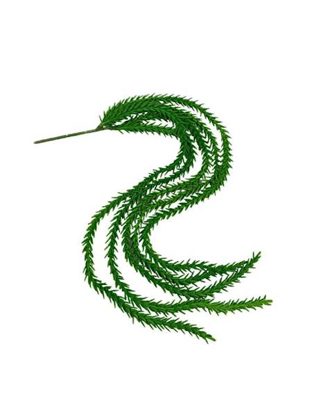 Sukulent zwis 59 cm zielony