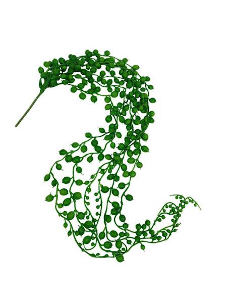 Senecio sukulent 75 cm zielony