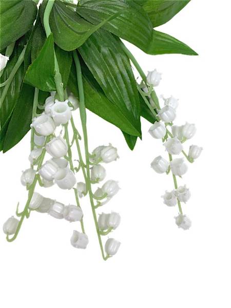 Konwalia  bukiet 38 cm
