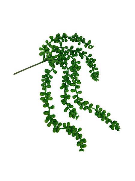Senecio sukulent gumowy 39 cm zielony