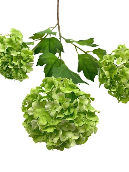 Kalina gałązka 68 cm zielona