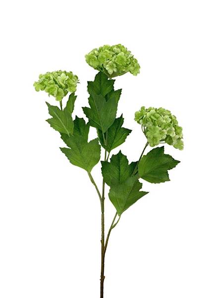 Kalina gałązka 68 cm zielona