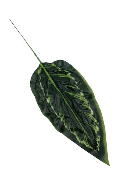 Liść manuel - difenbachia 45 cm zielony