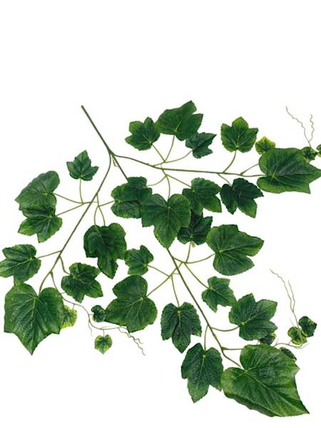 Liść winogrono 70 cm zielony
