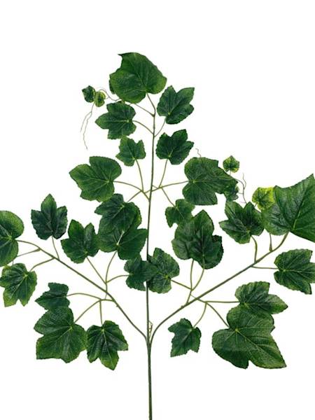 Liść winogrono 70 cm zielony