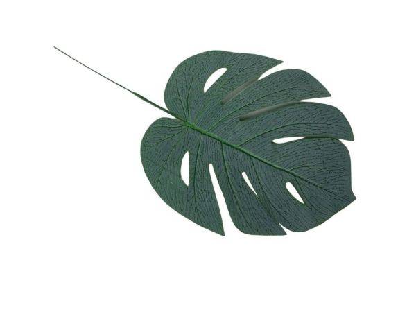 Monstera liść omszony 36 cm zielony