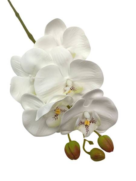 Storczyk kwiat pojedynczy 70 cm kremowy