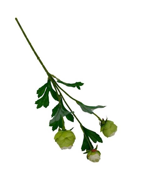 Pełnik gałązka 41 cm zielony z kremowym środkiem