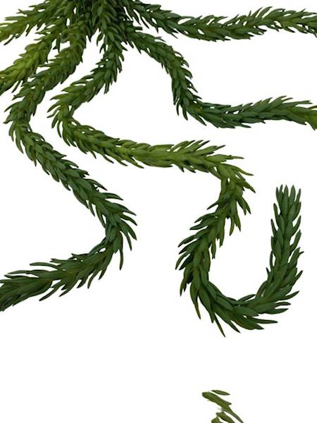 Sukulent 77 cm zielony