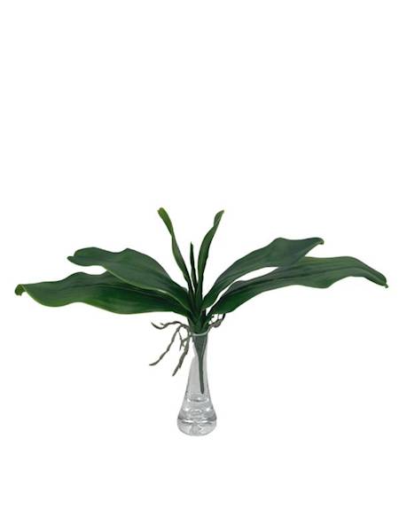 Liść storczyk 35 cm zielony