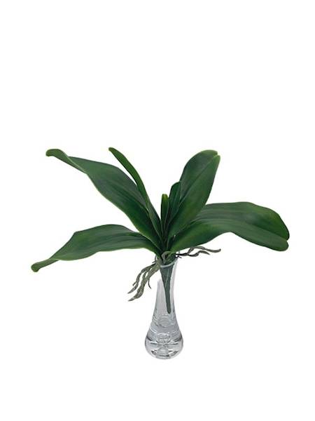 Liść storczyk 28 cm zielony