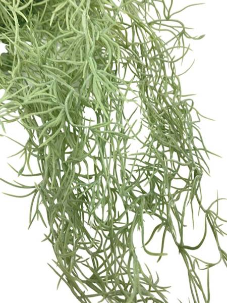 Tilancja zwis 80 cm jasno zielona