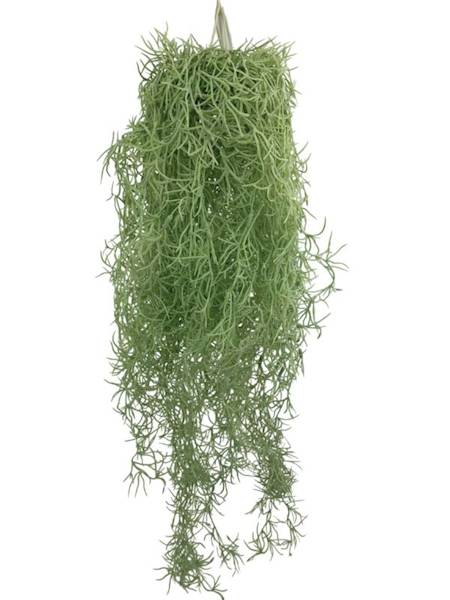 Tilancja zwis 80 cm jasno zielona