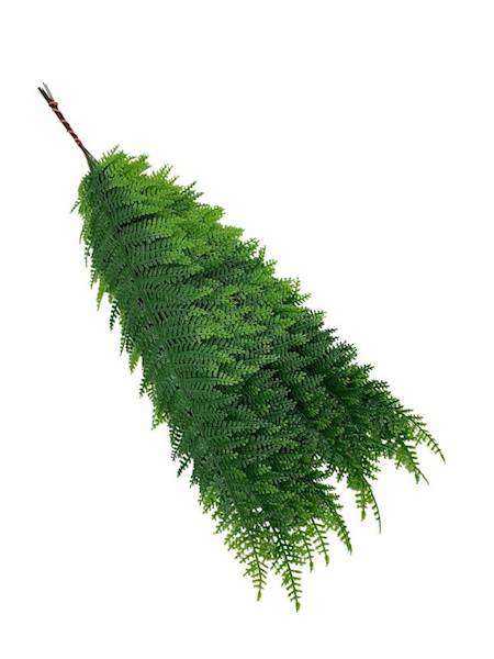Liść paproci 60 cm zielony