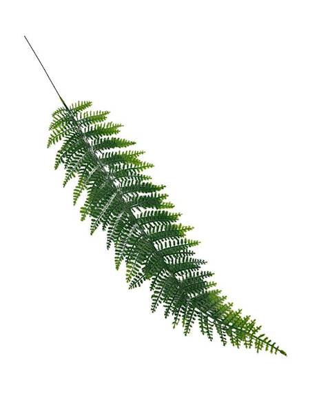 Liść paproci 60 cm zielony omszony