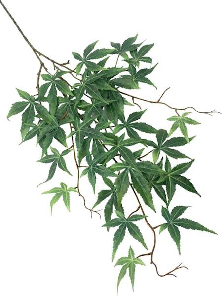 Klon gałązka 106 cm zielony