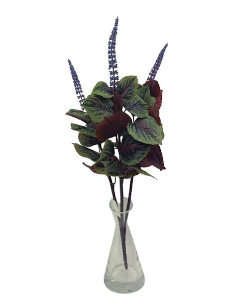 Pokrzywa bukiet 53 cm