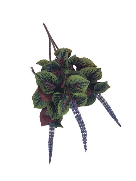 Pokrzywa bukiet 53 cm