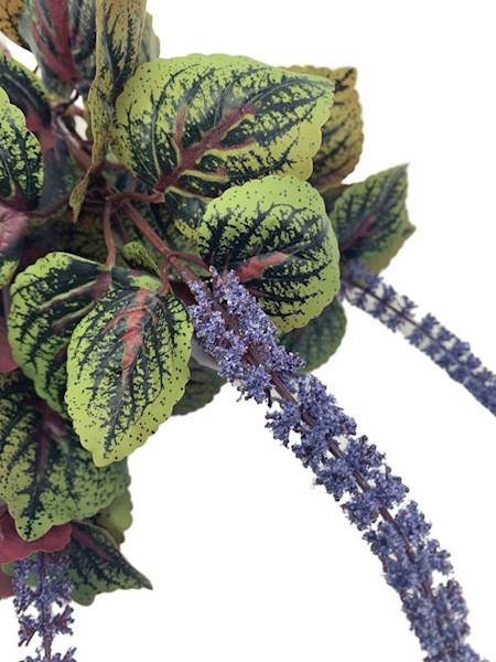 Pokrzywa bukiet 53 cm