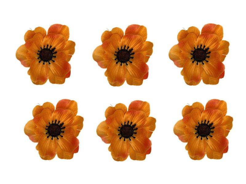 Anemon główka 6 cm pomarańczowy 6 sztuk