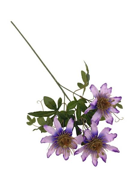 Męczennica gałązka 64 cm fioletowa