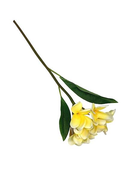Plumeria gałązka 56 cm żółta