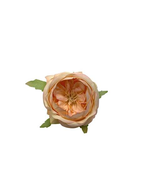 Róża główka 6 cm brzoskwiniowa