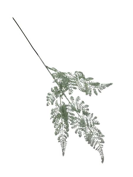 Paproć gałązka  60 cm biało zielona