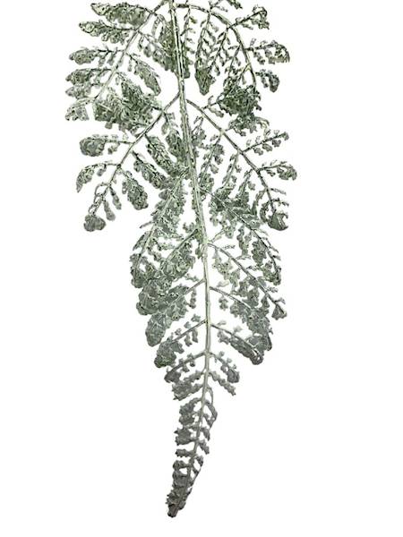 Paproć gałązka  60 cm biało zielona