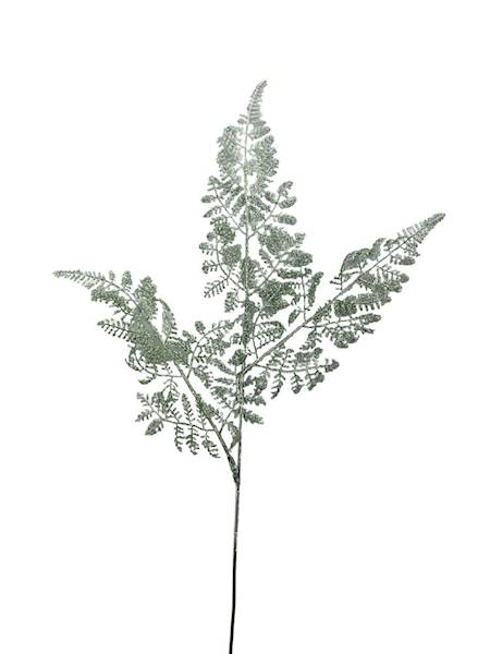 Paproć gałązka  60 cm biało zielona