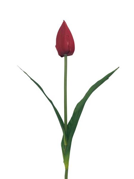 Tulipan gałązka 55 cm czerwony