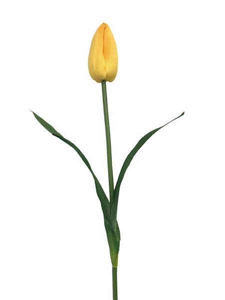 Tulipan gałązka 55 cm żółty