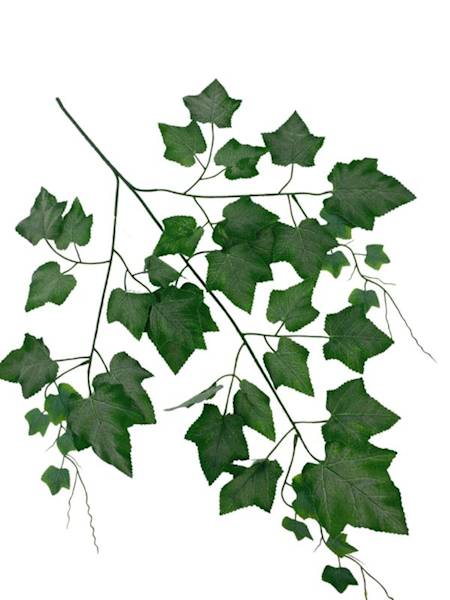 Liść winogron zielony omszony 70 cm
