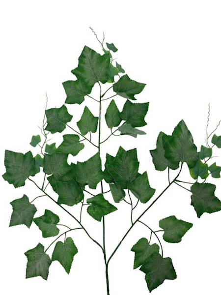 Liść winogron zielony omszony 70 cm